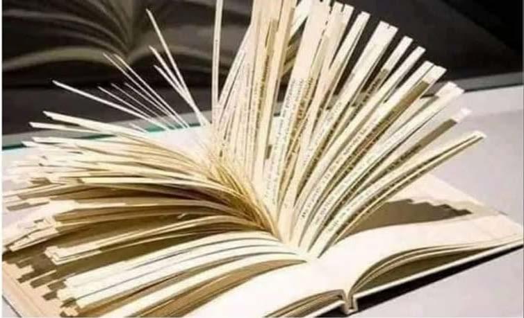 самая длинная в мире книга